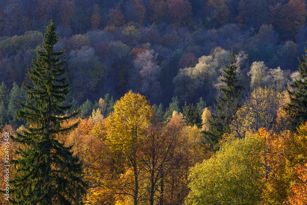 Majestic landscape with autumn forest hills. Sigulda, Latvia, Europe
