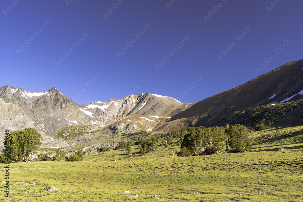 Naklejka premium Camp at Alger Lakes