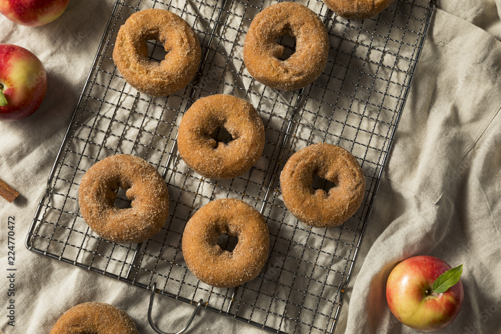 Homemade Apple Cider Donuts