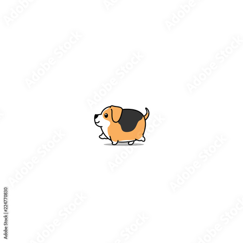 Cute fat beagle dog walking cartoon icon, vector illustration