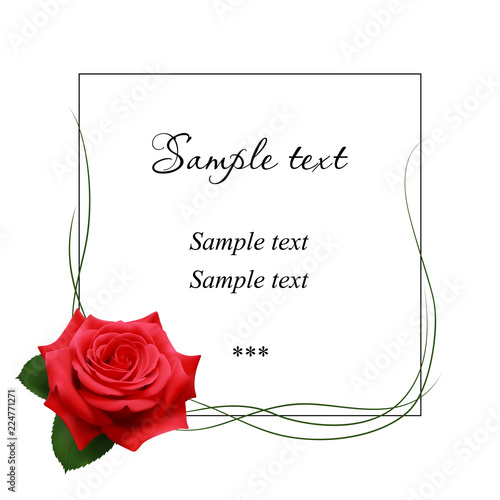 Realistic red rose, card.