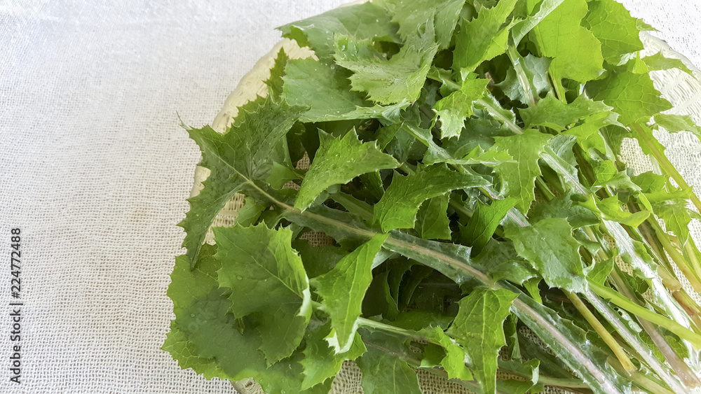 Foto Salada de Serralha