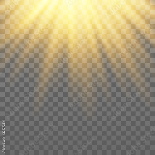 Vector golden rays. Light effect on the transparent background.