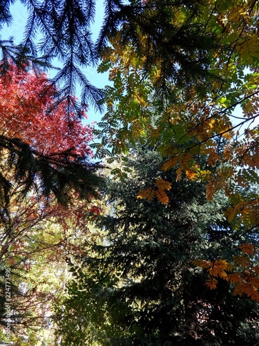 autumn palette