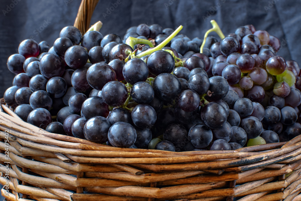 Wicker basket full of Tempranillo grapes Wicker basket full of Tempranillo grapes