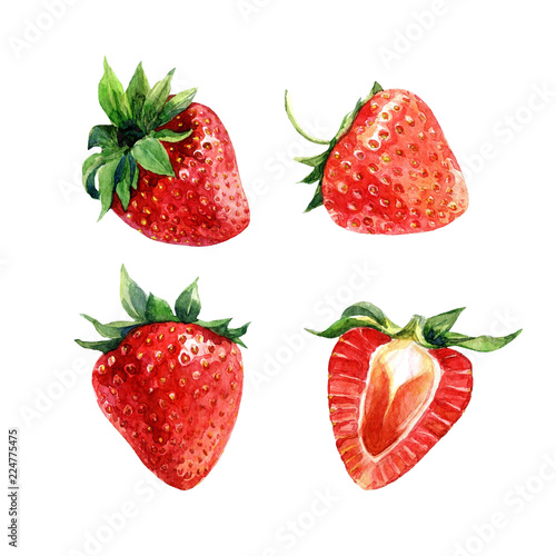Set of watercolor strawberries, whole berries and cut.