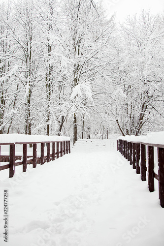 cold winter wooden bridge in the forest