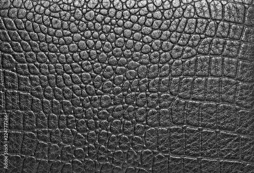 Texture of crocodile skin, can use as background