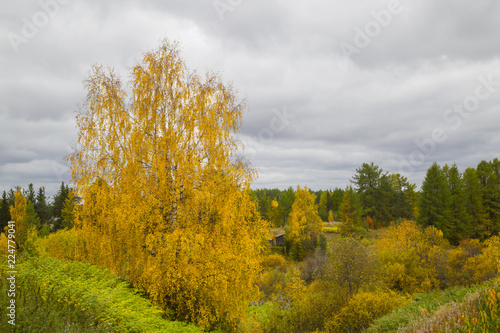 Fototapeta Naklejka Na Ścianę i Meble -  Beautiful autumn landscape