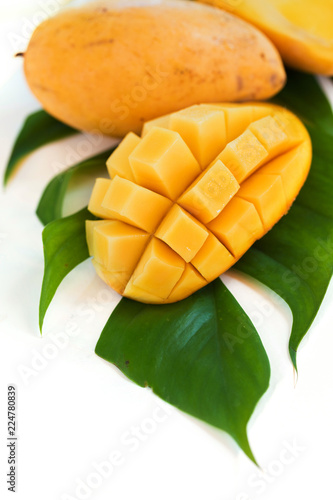 Fresh mango fruit on the white background