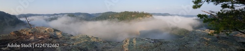 Forest River Fog