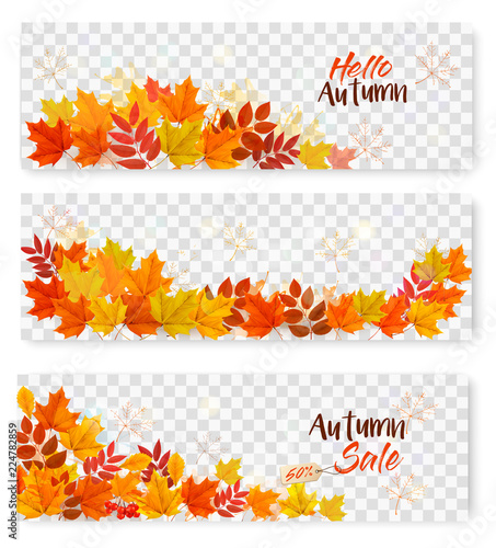 Set Of Three Autumn Sale Banners With Colorful Leaves on Transparent Background. Layered Vector