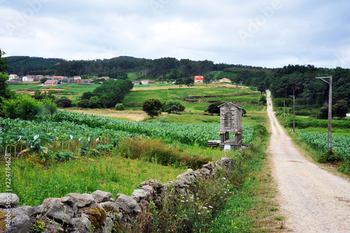 CAMINO DE SANTIAGO, SPAIN - JULY 18, 2018:Pilgrims with backpacks, wolking the Camino de Santiago, camino portugues