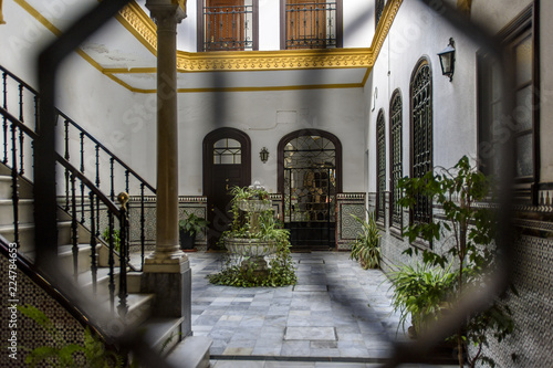 typical Andalusian patio of Seville in Andalucia, Spain.
