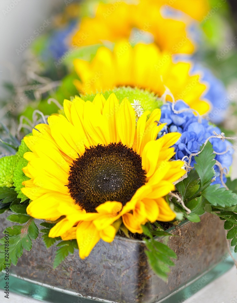 Obraz premium blue hydrangea and yelllow sunflowers in a colorful wedding arrangement 
