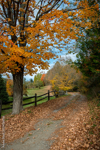 New England country road in autumn colors