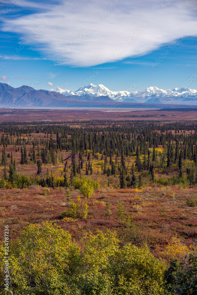 Mount Denali towers above blanket of fall color