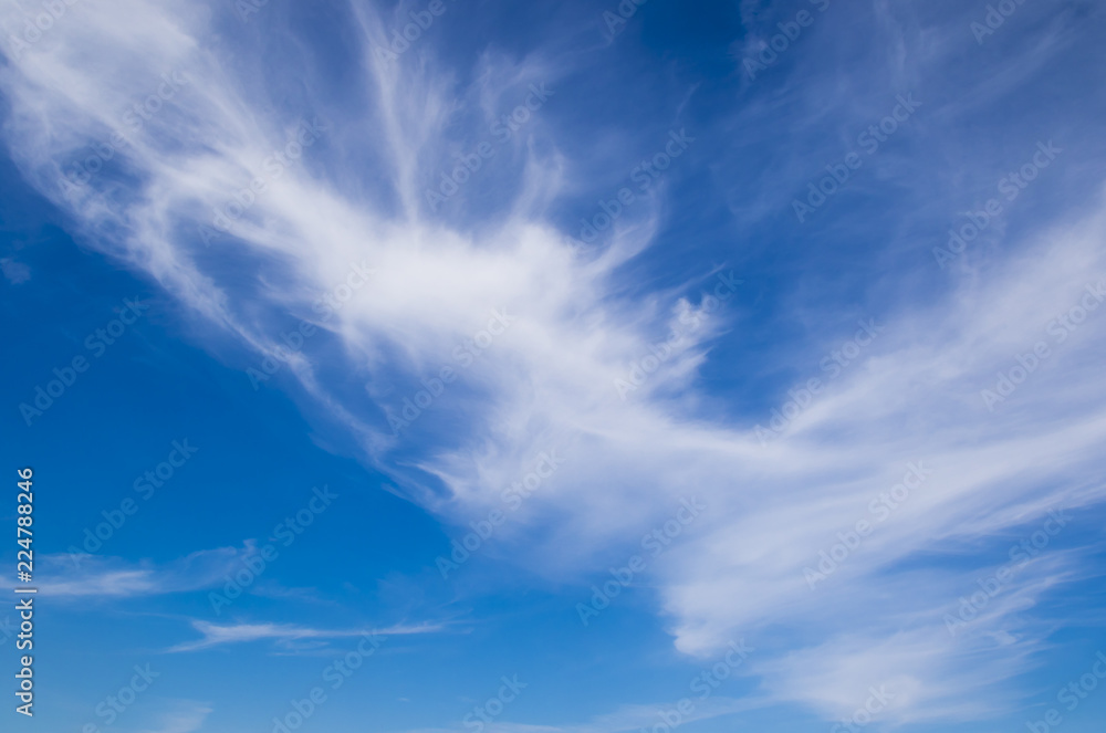 Plumose clouds in the blue sky Plumose clouds in the blue sky