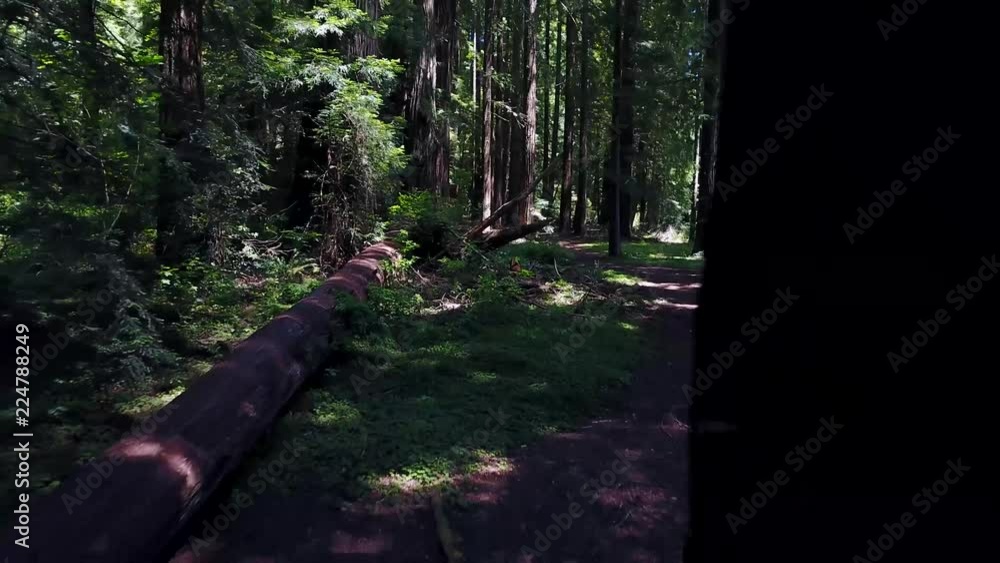 California Redwoods Park Aerial California Redwoods Park Aerial