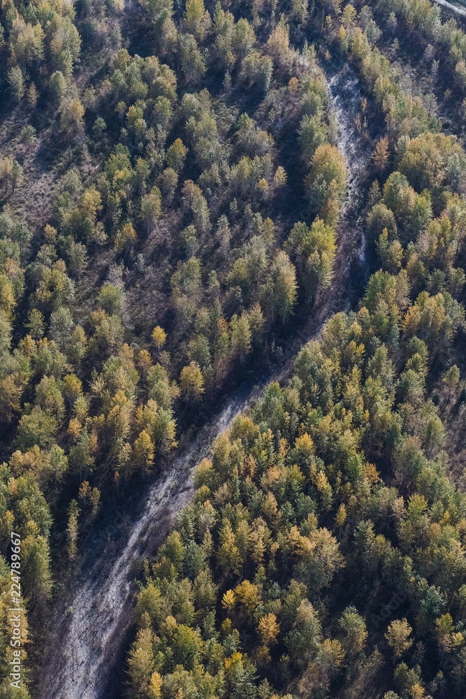 Forest and river view from the air in Alaska Forest and river view from the air in Alaska