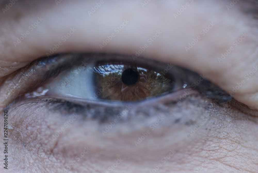 Naklejka premium Mirada