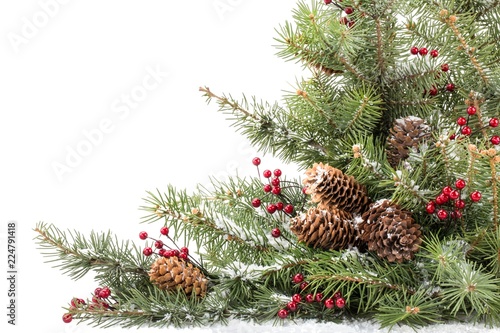 Christmas greeting card with fir tree branches and cones, snow