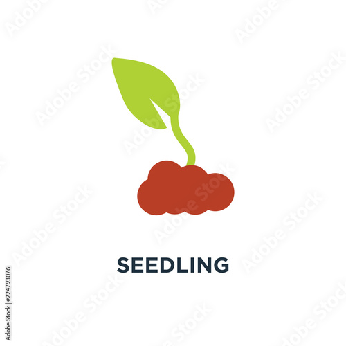 seedling icon. growing tree concept symbol design, green agricul