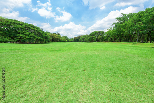 Fototapeta Naklejka Na Ścianę i Meble -  Beautiful landscape in park with green grass field.