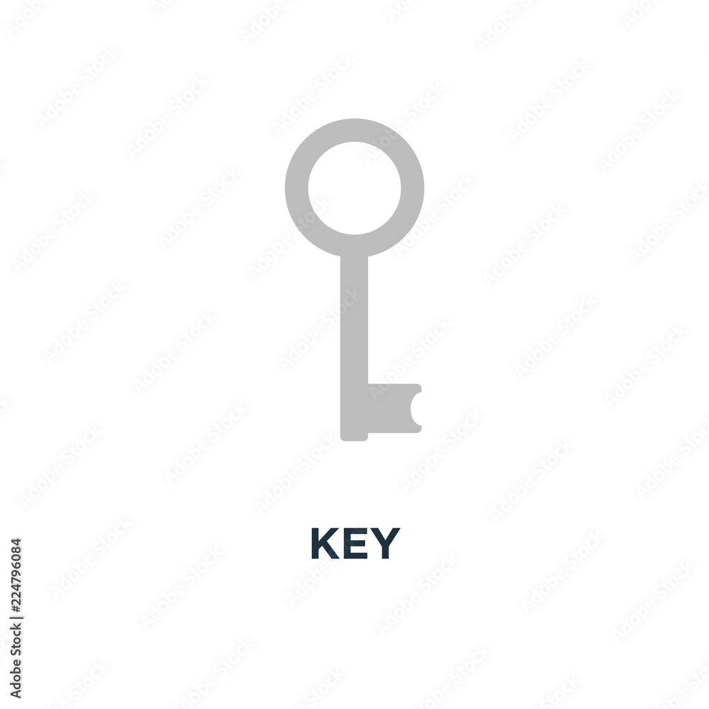 key icon. key . protection and security sign concept symbol desi key icon. key . protection and security sign concept symbol desi