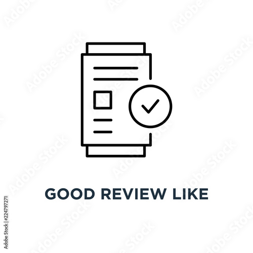 good review like thin document icon, symbol linear style trend modern assessment logotype graphic simple art design on white concept of no violations or vulnerables docs or legal business exam
