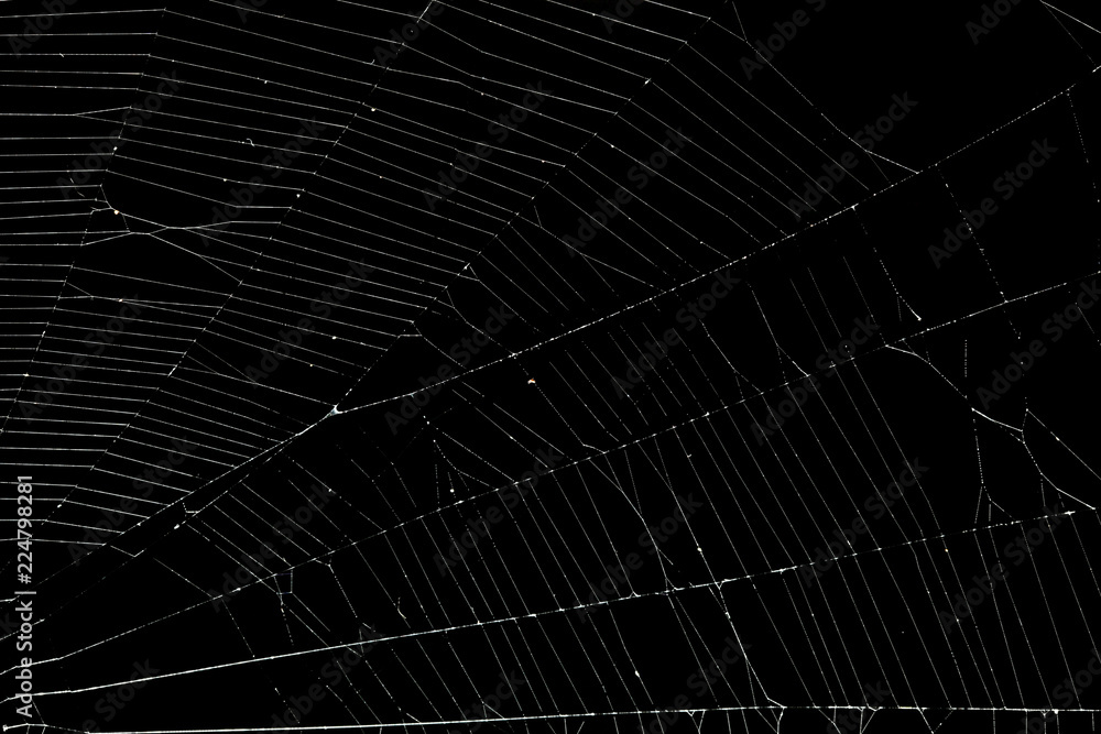 Real spider web isolated on black Real spider web isolated on black