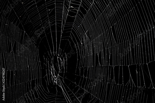 Prawdziwa pająk sieć odizolowywająca na czerni