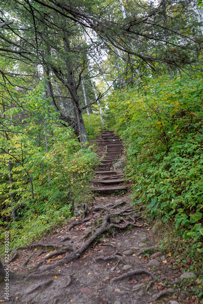 Rugged hiking trail in the deep woods at Jay Cooke State Park in
