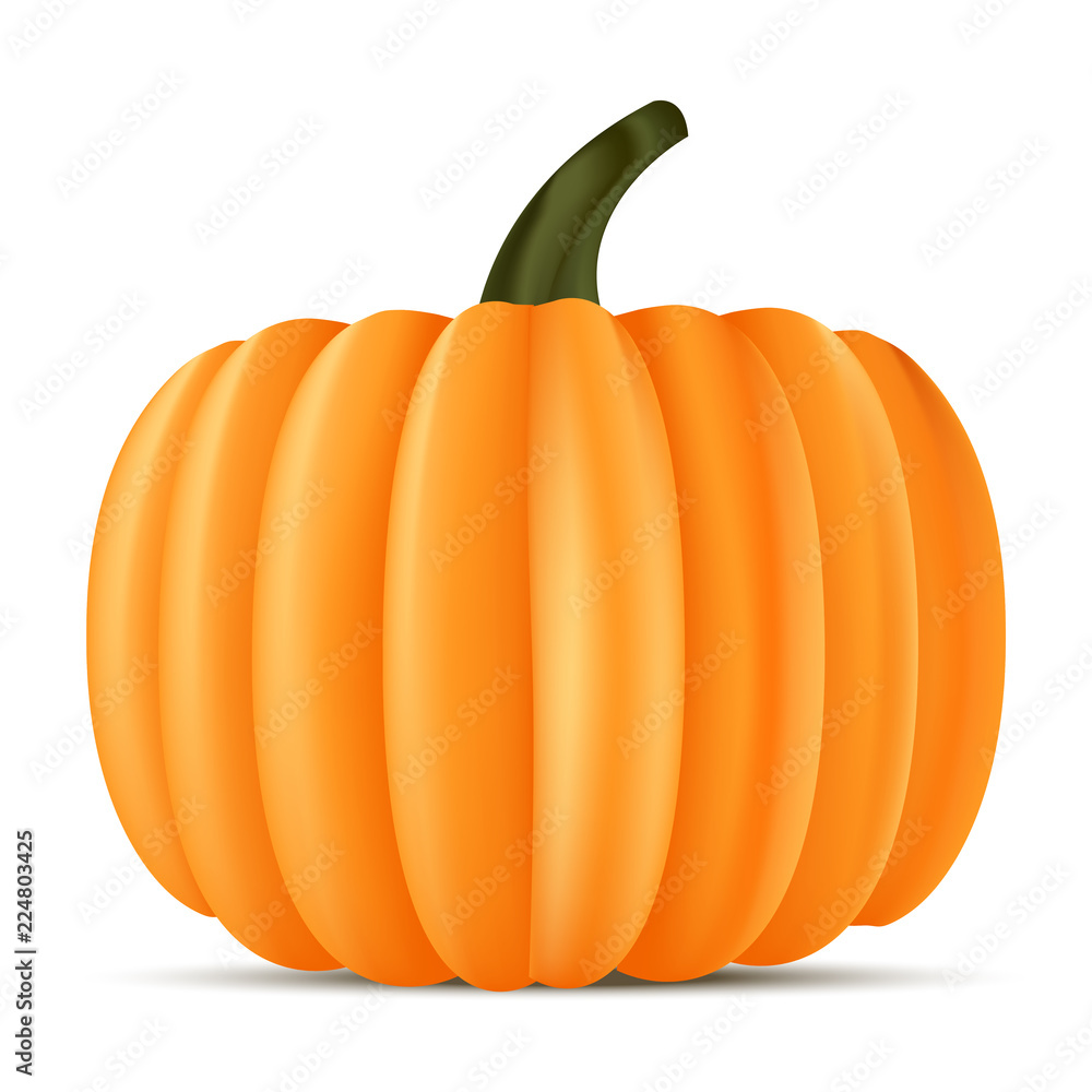 Obraz premium Realistic pumpkin for Halloween. Vector