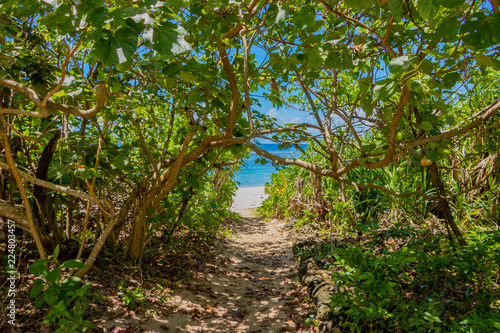 沖縄石垣島 米原ビーチ