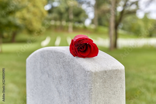 Fényképezés A Blank Headstone with a Rose