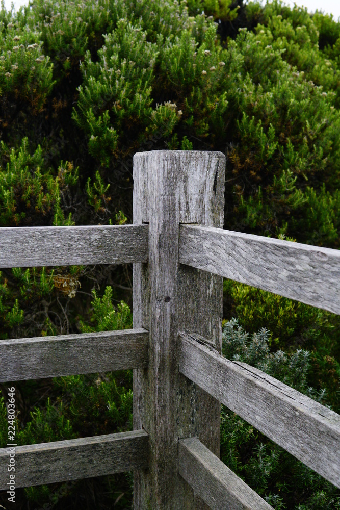 Wooden Fence Pole
