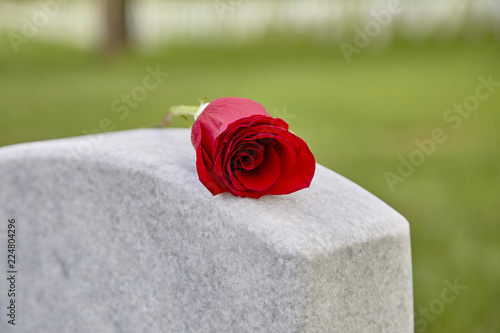 Obraz na plátně A Blank Headstone with a Rose