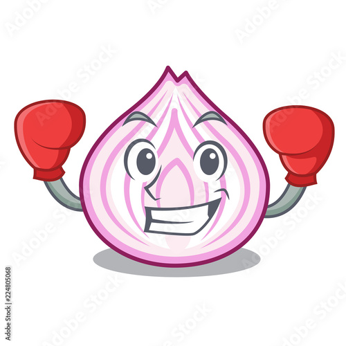 Boxing cut in half slice onion cartoon