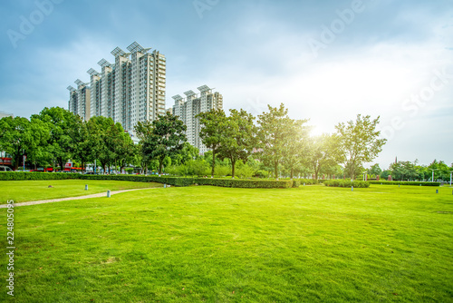 Urban park grassland forest..