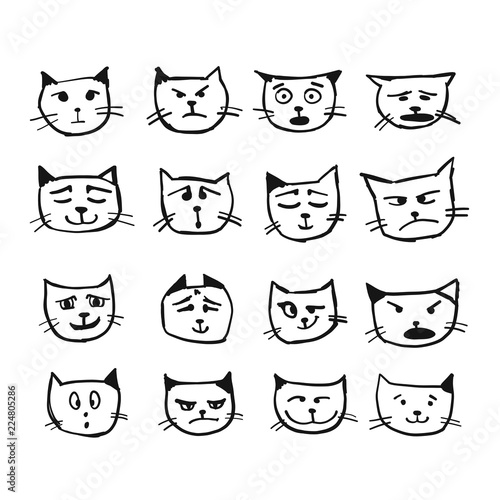 Cat faces, sketch for your design