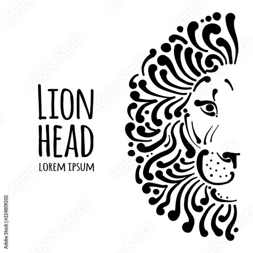 Fototapeta Naklejka Na Ścianę i Meble -  Lion face logo, sketch for your design