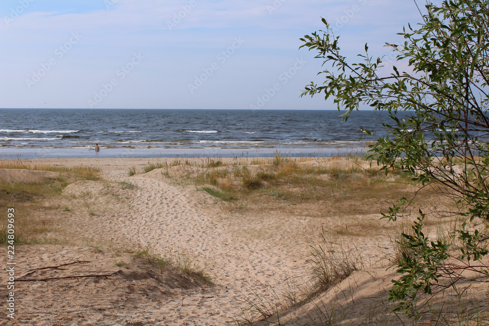 Sandy beach dunes in the Baltics