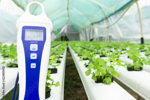 Digital pH meter tester Hydroponics Controllers  pH Pens, pH Tests, Digital Soil & pH Sensors vegetables in water at greenhouse hydroponics farm.. photo