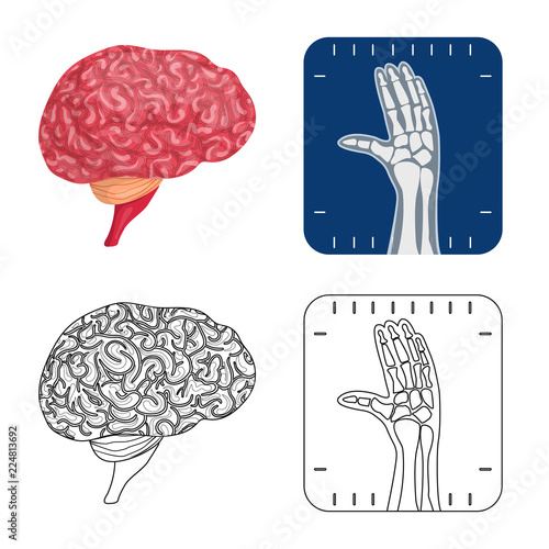 Isolated object of body and human icon. Collection of body and medical vector icon for stock.