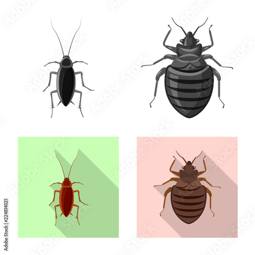 Vector illustration of insect and fly symbol. Set of insect and element vector icon for stock.