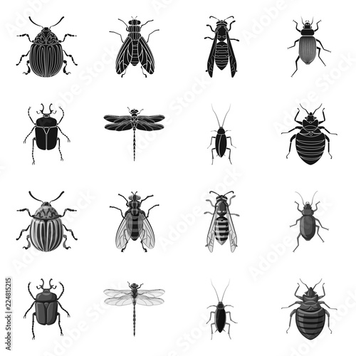 Isolated object of insect and fly logo. Set of insect and element vector icon for stock.