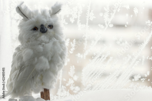 white polar owl on the background of a frozen window covered with beautiful patterns created by nature, a place for text