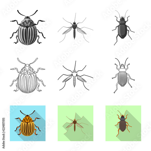Isolated object of insect and fly symbol. Set of insect and element stock vector illustration. © Svitlana