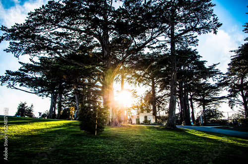 Photography The Painted Lady